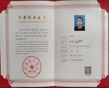 专业技术证书 专业技术证书